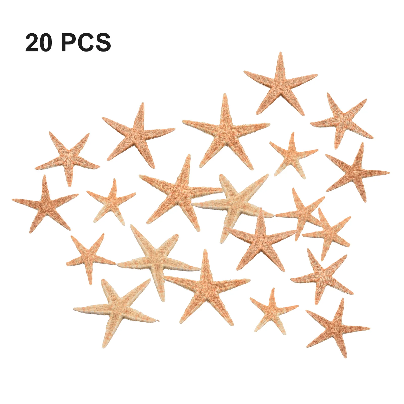 1 Box Starfish Seashell Practical Mixed Starfish Seashell Portable Natural Mixed Reusable Realistic White Star Fish Tank Decor