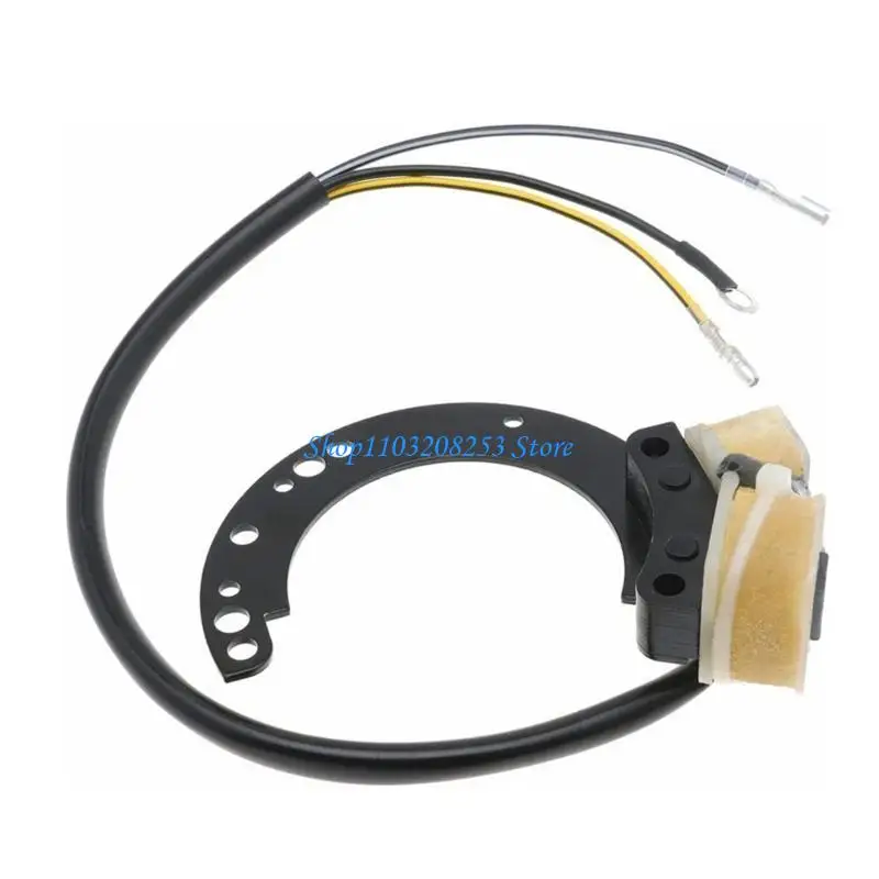 

R6FA Stator Assembly Maganet Coils for Mariner 6-40 79-97 2 Cylinder Motor 86617 86617A2 86617A3 86617A5