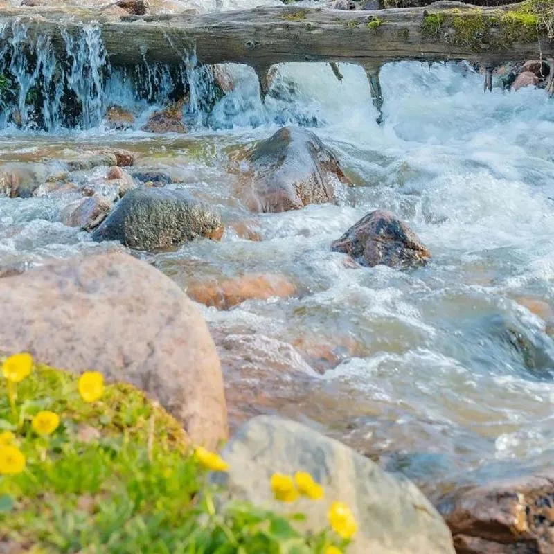 Potato Dicing Machi…