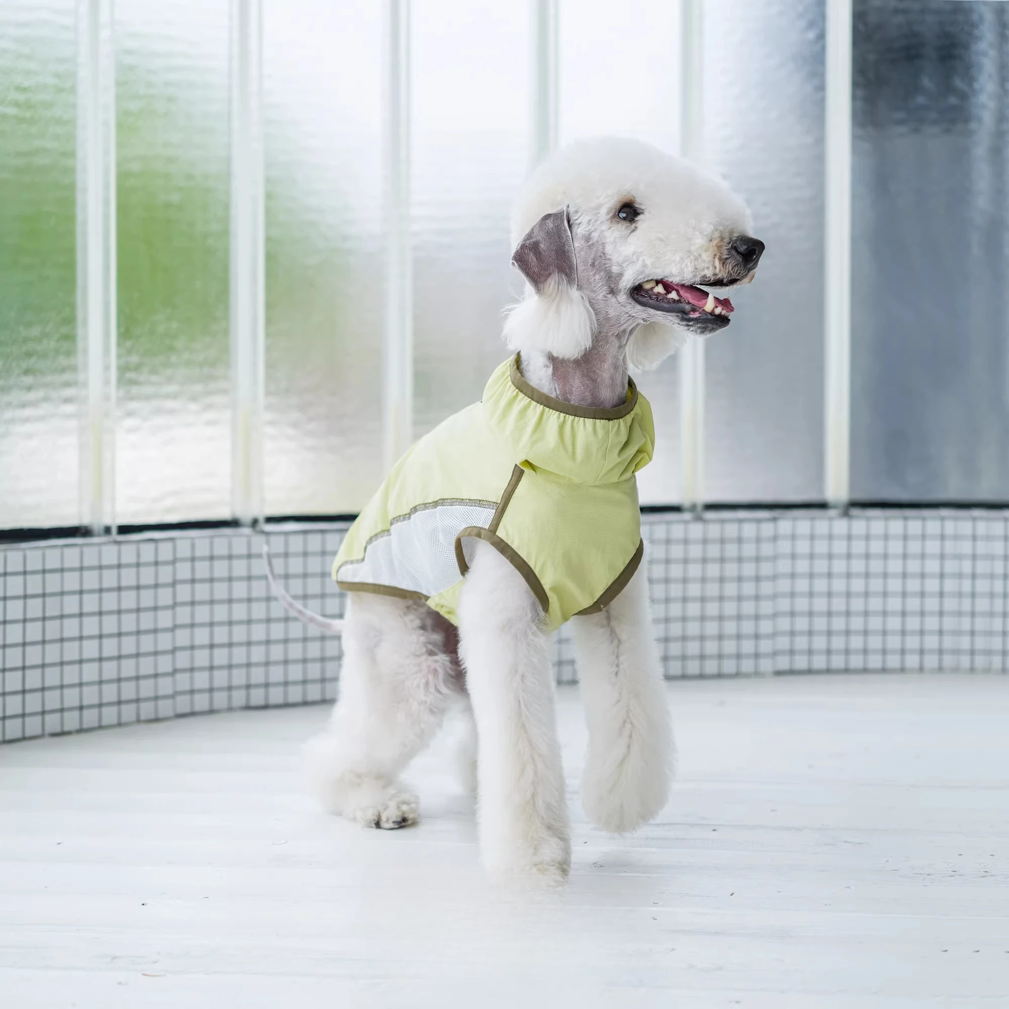 Summer Cool Breathable with Sun Protection Factor SPF50 Sunscreen Vest Casual Sporty Style Pet Dog Clothes for Slender Dogs