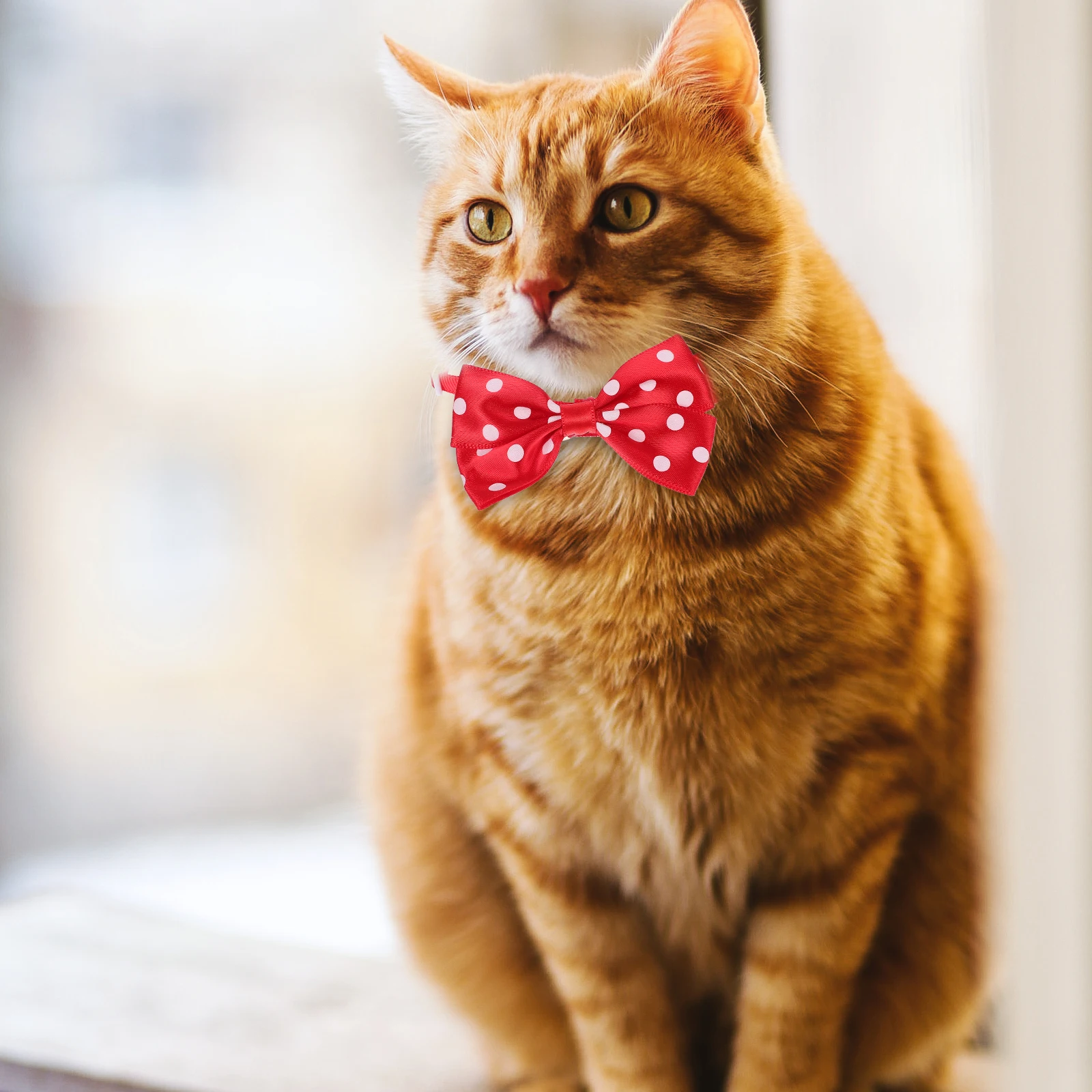 

Pet Tie Accessories 2 Sets Valentine's Day Bow Ties for Dog Cats Polyester Collar Decor Holiday Costume Party Neckties Pet