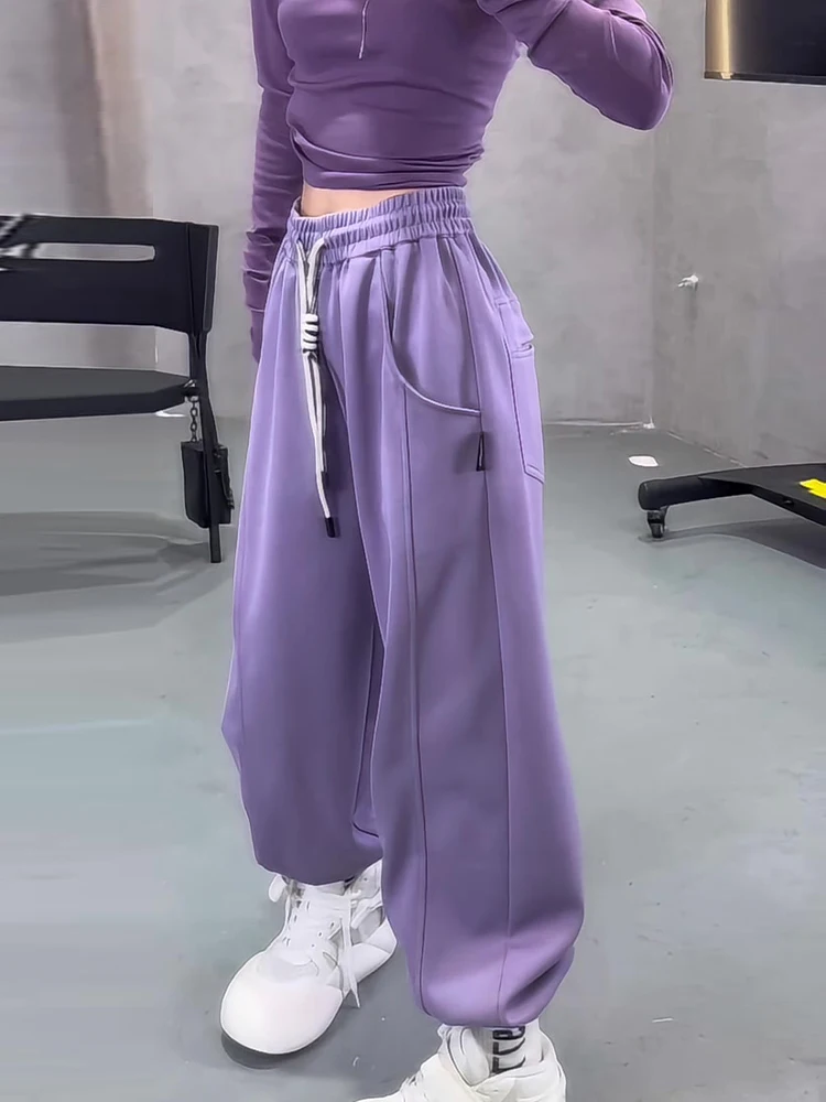 Retro americano fitn roxo fce-forrado cintura elástica solta calças esportivas femininas outono inverno longo perna larga