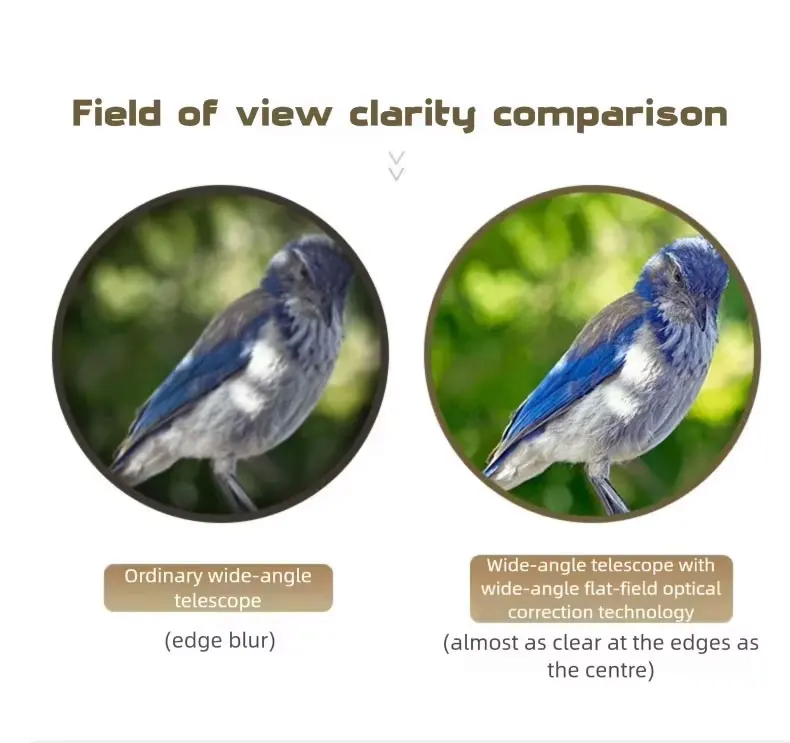 BOSMA-Desert Fox II Binokular, profession elles FMC-Teleskop, Vogeljagd beobachten, 10x50, 12x 56ED – Detail 15