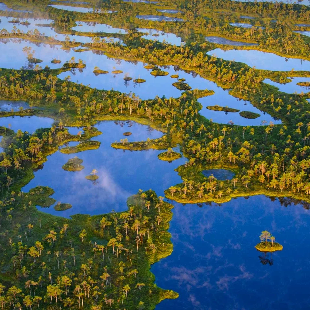 

D Android 14 для Audi R8 2007-2015 Автомобильный GPS-навигатор Авто Стерео Мультимедийный Радиомагнитофон Музыкальный DVD-плеер Carplay Головное устройство