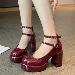 2024New Mary Jane Pumps For Women Girls Fashion Brand New Chunky Heel Wedding Dress Shoes Spring New Pumps Classic Double Buckle