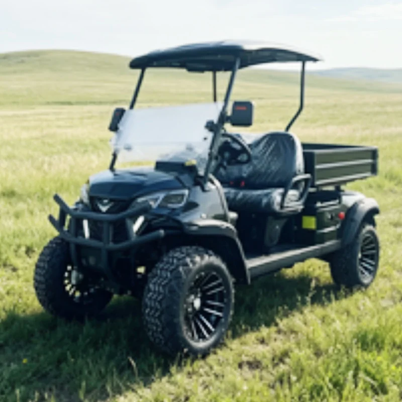 New Energy 60V Lead Acid Battery 2 Seater Electric Golf Cart Club Electric Cargo Truck Cart With Rear Cargo Box Off-Road Tires