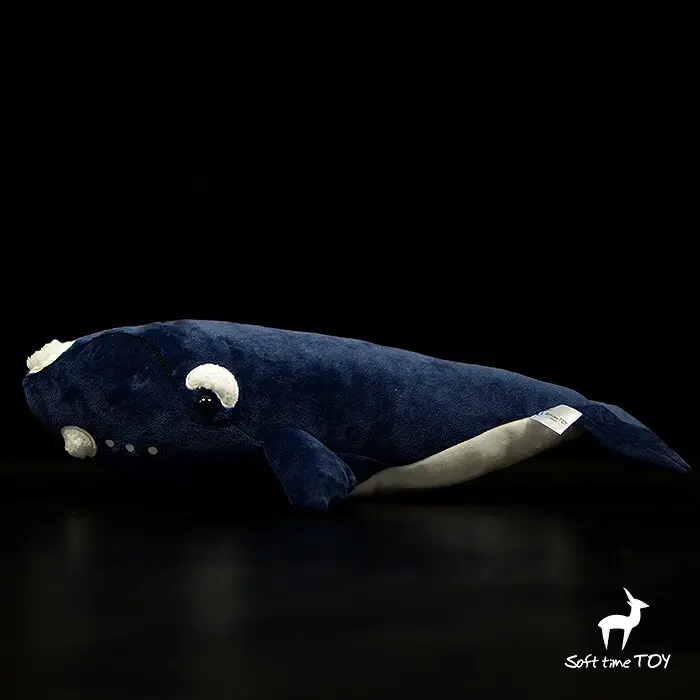 Eubalaena glacialis,Black humpback whale, realistic humpback whale stuff,Small ornaments and miniature models