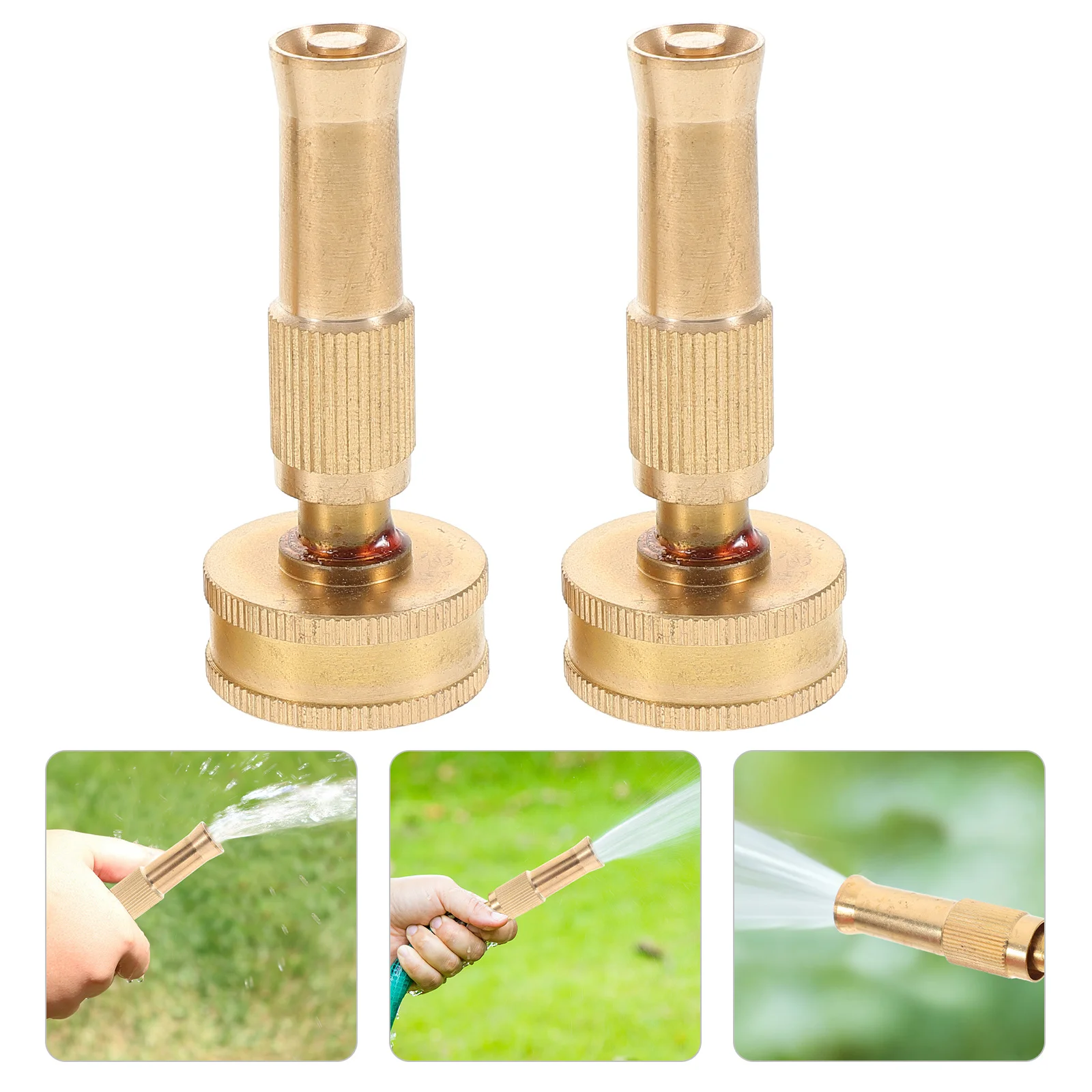 : Jardim mangueira bicos