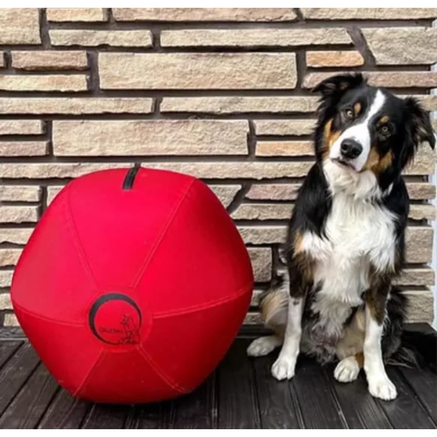 

Herding Ball for Dogs 18″ Inflatable Anti-Burst Dog Herding Ball for Australian Shepherds Corgis Collies and Cattle Dogs Durabl