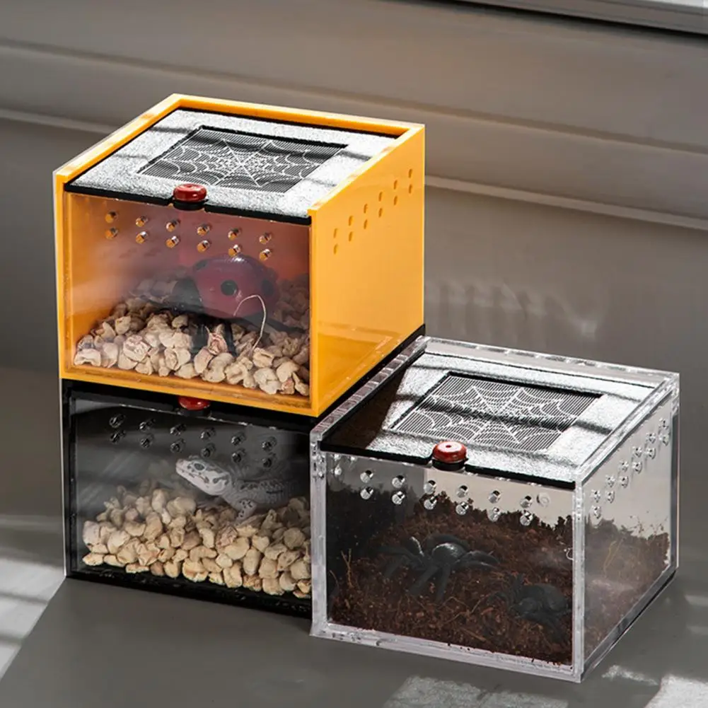 Scorpion Terrarium with Feeding Box Air Circulation Pet Box Ventilated Feeding Box with Viewing Space Breathable for Peaceful