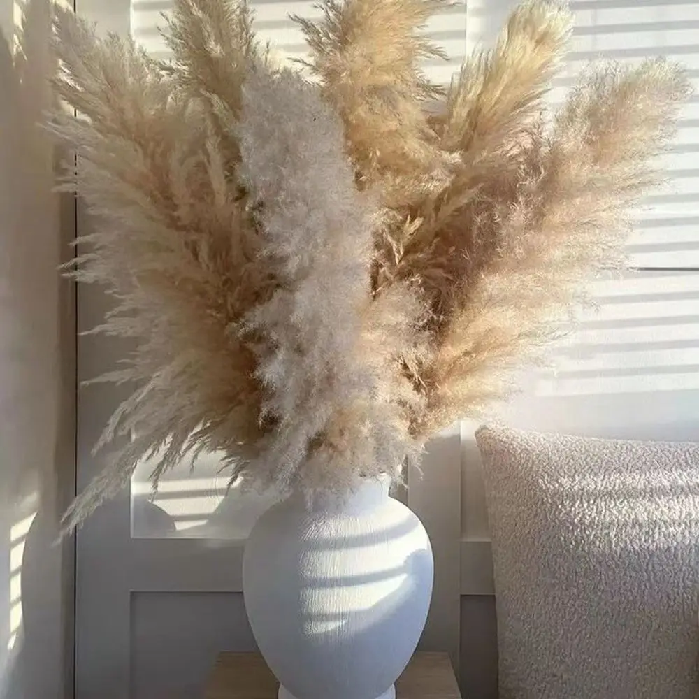 80cm Large Fluffy Natural Pampas Grass Arrangements Bohemian Pampas Dried Flowers For Wedding Party Home Table Office Decoration