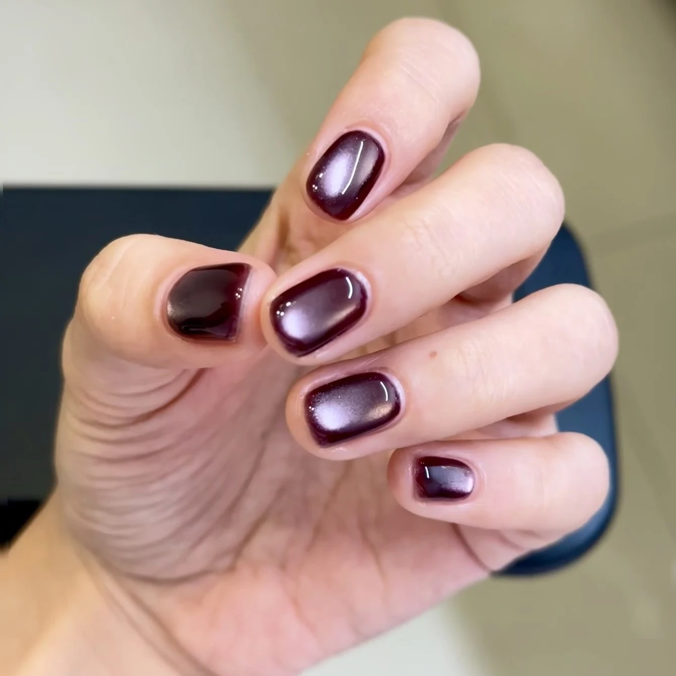 10ML 1 SZT. Fioletowy Lakier Hybrydowy do Paznokci z Efektem Kociego Oka, Jesienno-Zimowy Hit Sprzedaży, Rozjaśniający Klej do Paznokci, Czarne Paznokcie, Akcesoria do Paznokci