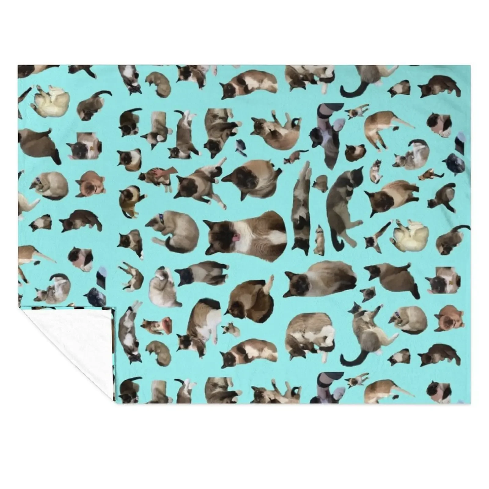 

Mojito the Siamese Cat Many Pictures of the Great Moe! Throw Blanket Sofa Throw blankets ands Sofa Quilt Flannel Blankets