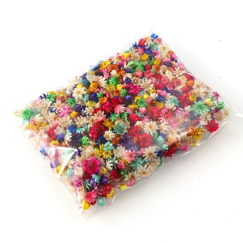 Mini Star Dried Flower For Epoxy Resin Jewelry Making Decoration Resin Mold Filling Home Decoration Natural Nail Art Accessories