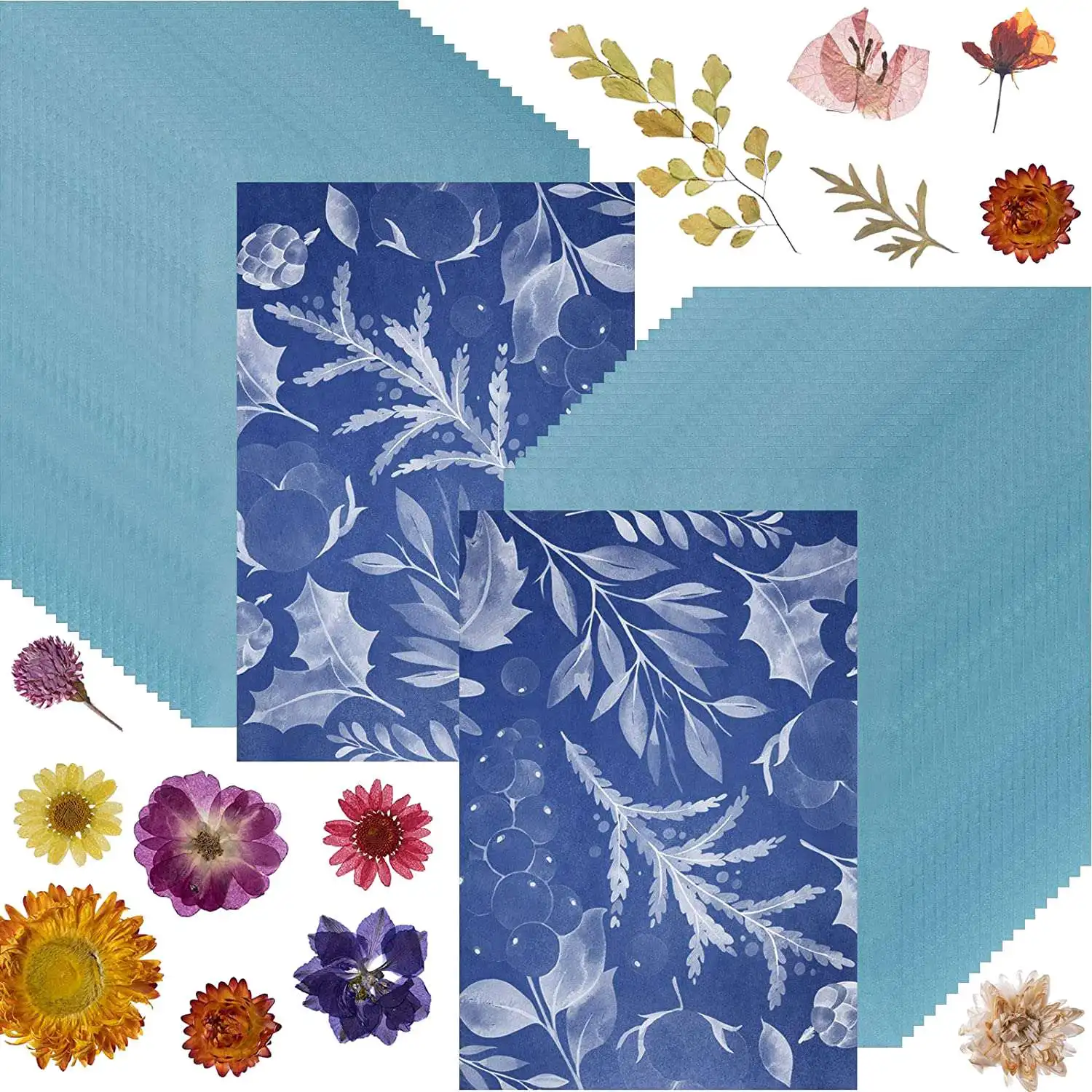 N27R 50 Sheets Sunp…