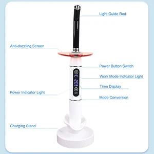 12 Hauptverkaufszahnarzt Luminaria - &#8470;8