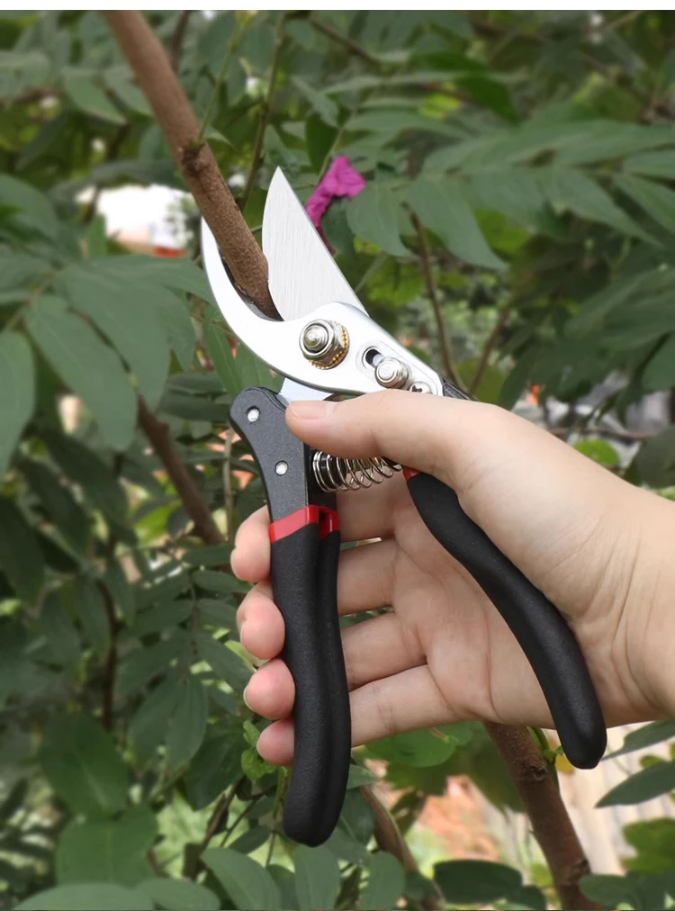 SK5 Stahl Garten Hand Pruner Obstgarten Schere Langlebiges Baum Trimmen Werkzeug für Beschneiden Obst Bäume Garten Schneiden Werkzeuge – Detail 12