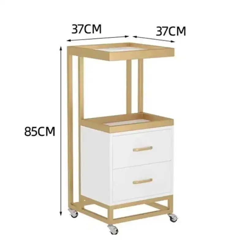 Stroller Foldable Styling Station Hair Cart TrolleySalon carrito estilistathe Beauty Cosmetic Wheels Equipment Furniture Storage