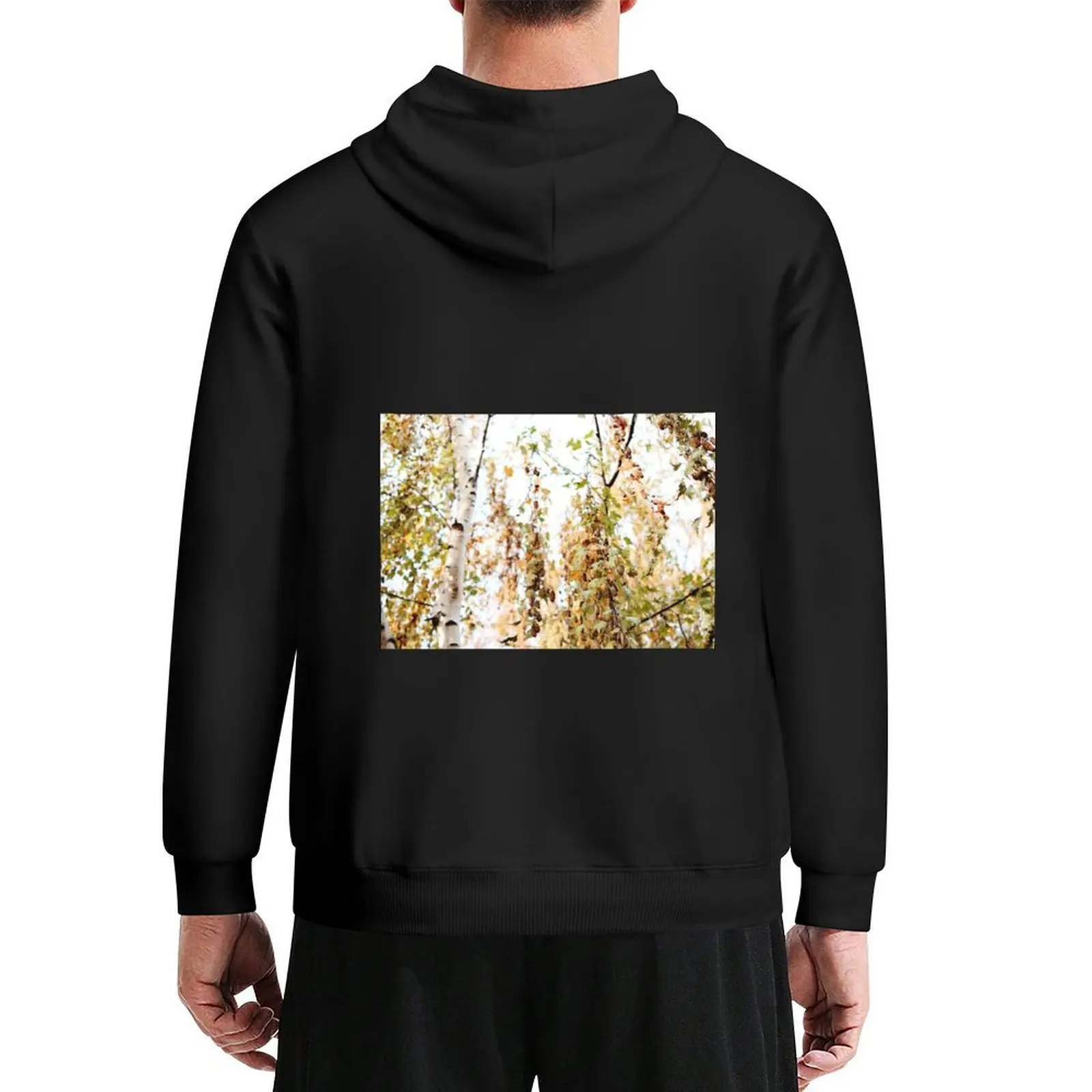 

Seed Cones Hoodie men's sweat-shirt set men's coat autumn blouse hoodie men