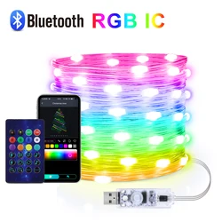 RGBIC Addressable 20M Dream Color USB 5V LED Sting Light Bluetooth Music APP Fairy Lights Birthday Party Garland Christmas Decor