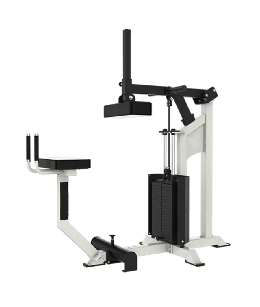 

Selectorized Gym Fitness Equipment Leg Hip Strength Training Selectorized Donkey Calf Raise