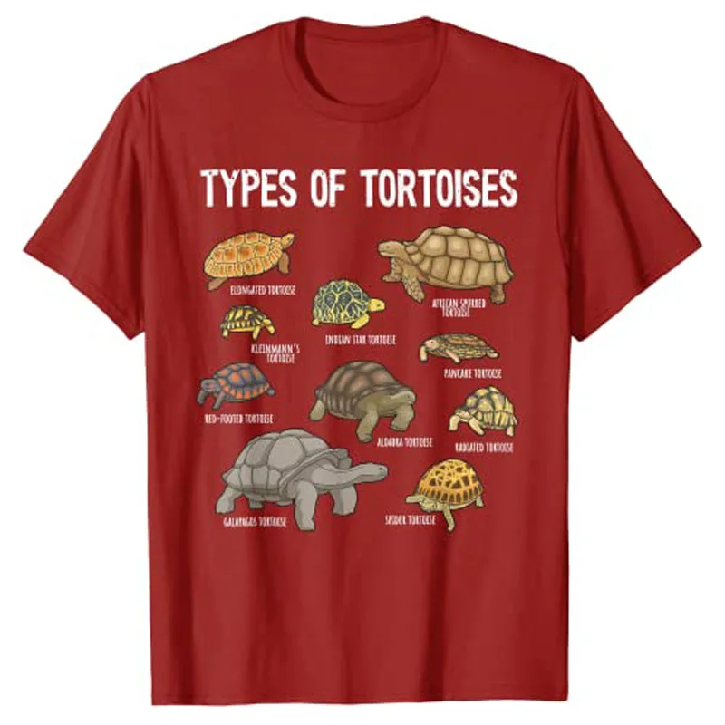 Different Types of Tortoises T-Shirts, Tortoise Lover Shirt, Reptile-Lover Graphic Tee Top Cute Short Sleeve Turtle Print Outfit