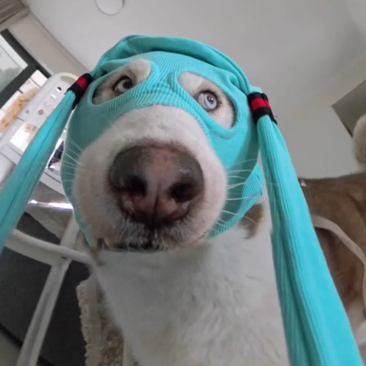 

2025 Quality Upgrade Version Kidnapper Masked Headset Rush B Game Hat Cosplay Funny Eye Exposure Mask With Ears Anime Props