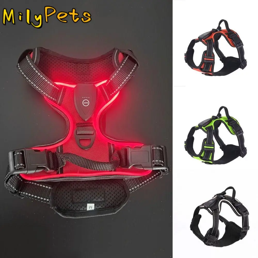 #26 Best Adjustable Pet Collars to Buy In 2026