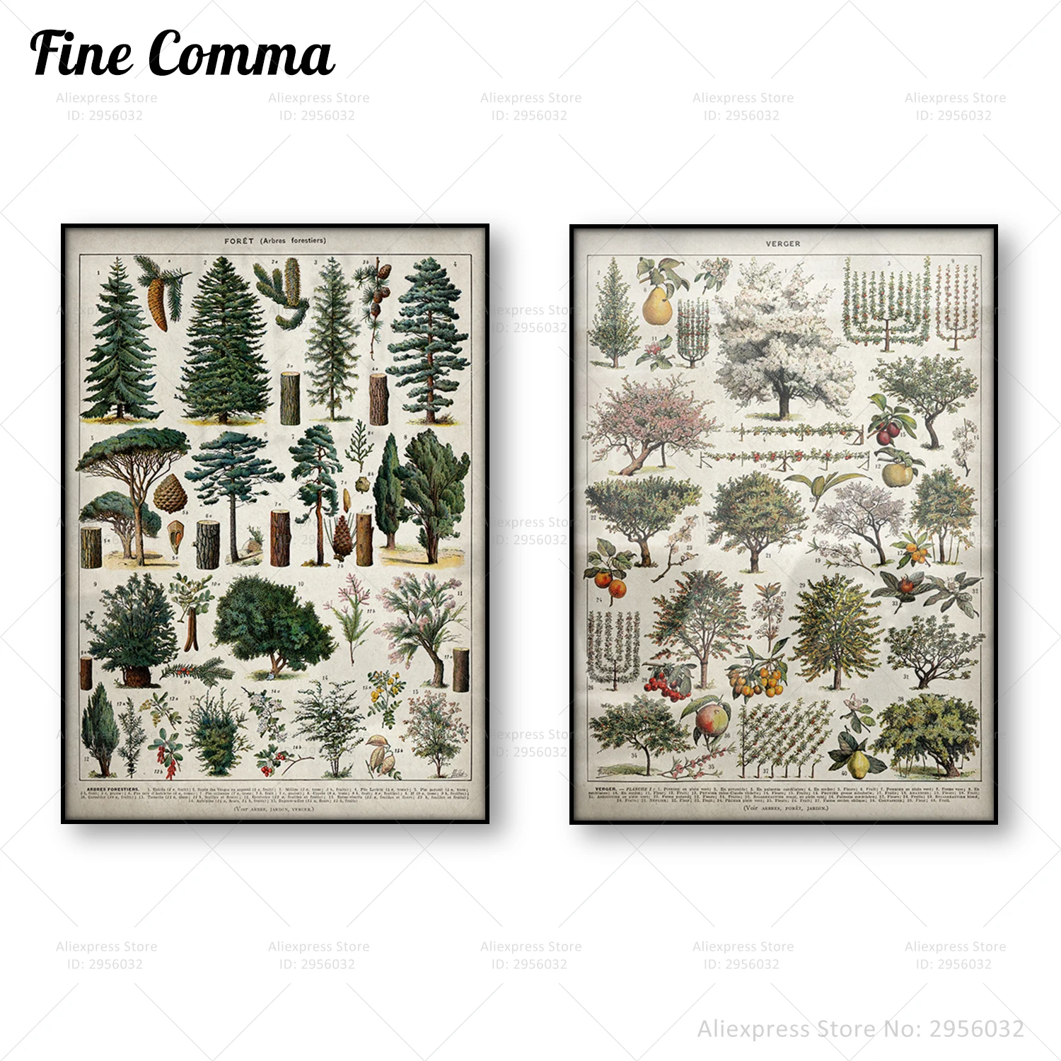 Póster de bosque Vintage, arte de pared de árbol de pino, Impresión de lienzo de naturaleza, ilustración educativa Larousse, pintura de pared, decoración del hogar