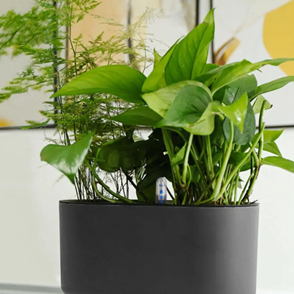 

4 Pcs Water Level Gauge Plant Meter Moisture Indicator House Plants Shortage Reminder Buoy Display Flowerpot Water Level