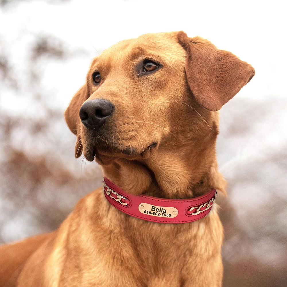 Personalisiertes Hundehalsband aus strapazierfähigem Leder für Hunde mit Anti-Verlust-Namensschild, Kettenzubehör für kleine, mittelgroße und große Hunde – Detail 13