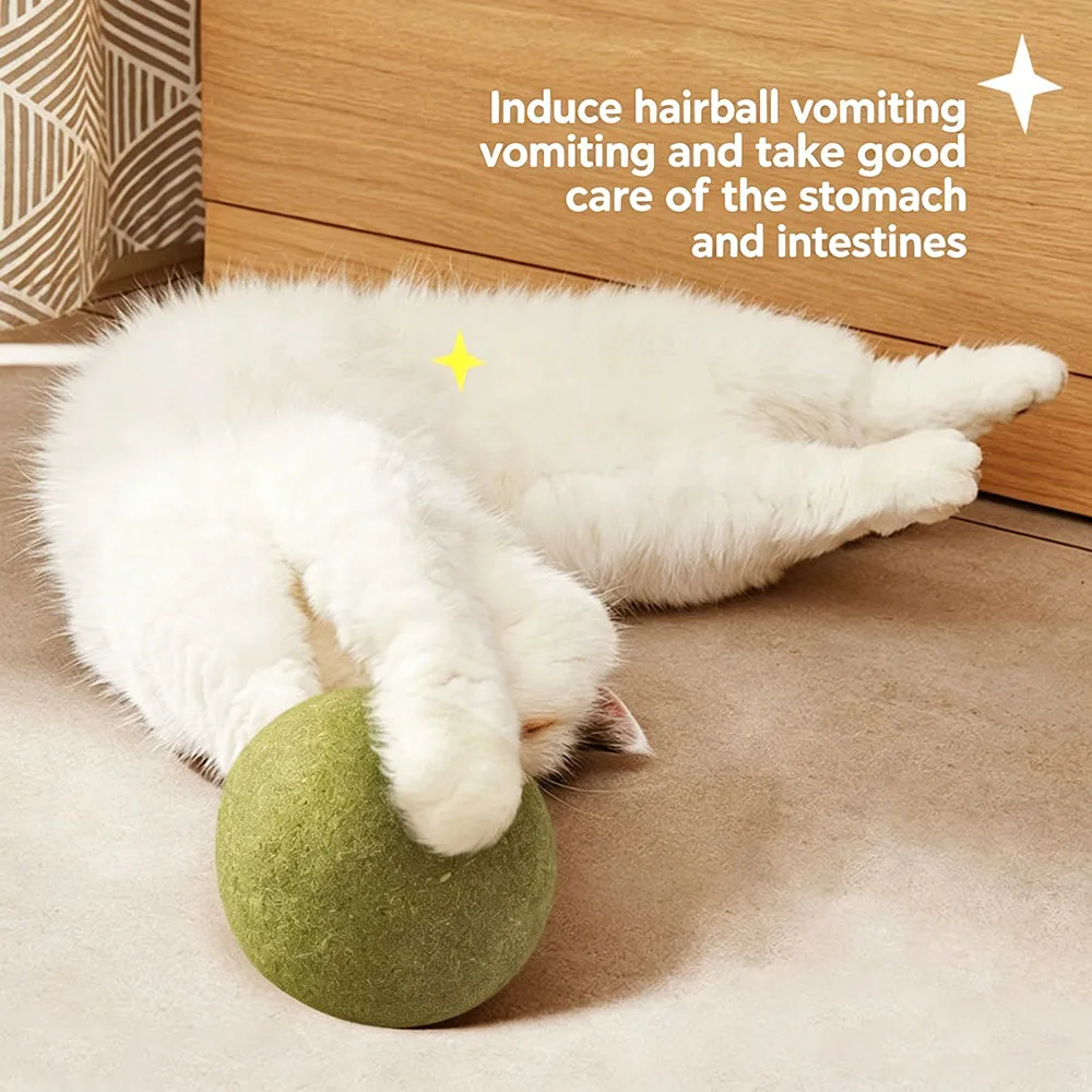 Mint Toys Edible Catnip Ball Safety Healthy Cat Catnip Cats Home Chasing Game Toy Products Clean Teeth The Stomach