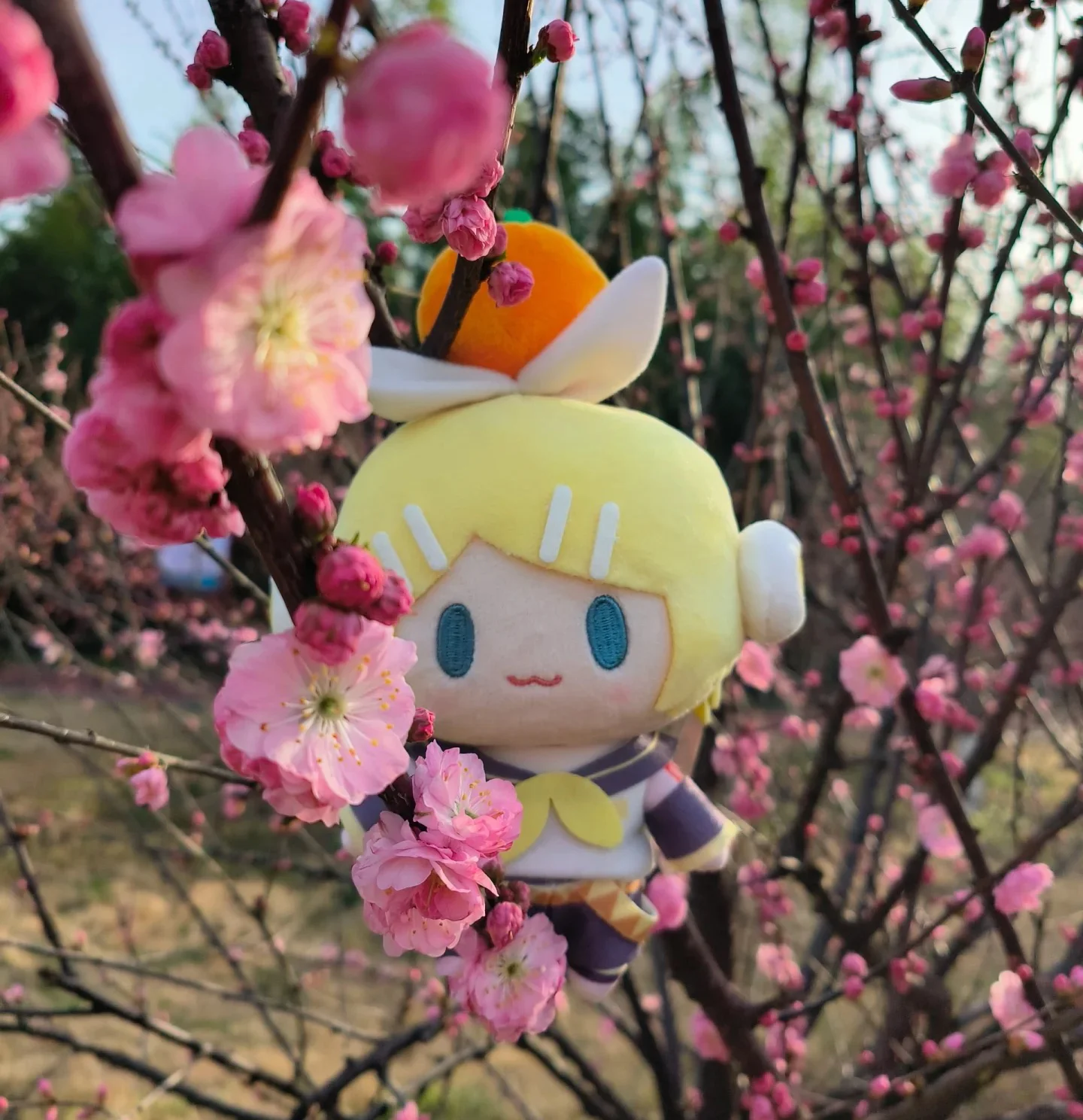 Hatsune Miku Plüschpuppe Spielzeug Kagamine Len Rin Rucksack Schlüsselanhänger Niedliche Stoffpuppen Sammlung Modell Ornament Spielzeug Mädchen Geschenk – Detail 9