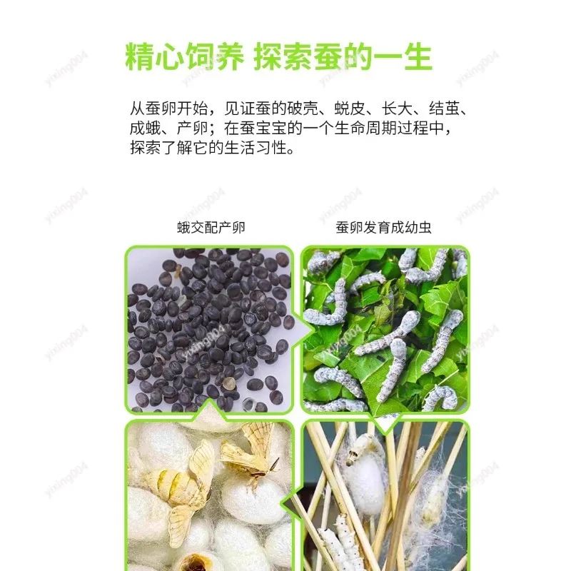 Student Silkworm Breeding Container Space Optimized Design Insect Rearing Box For Classroom Science Projects