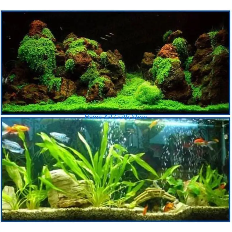

Y3NA Fish Tanks Landscaping Aquarium No Marks Aquarium Supplies Aquarium Water Grass Fixing