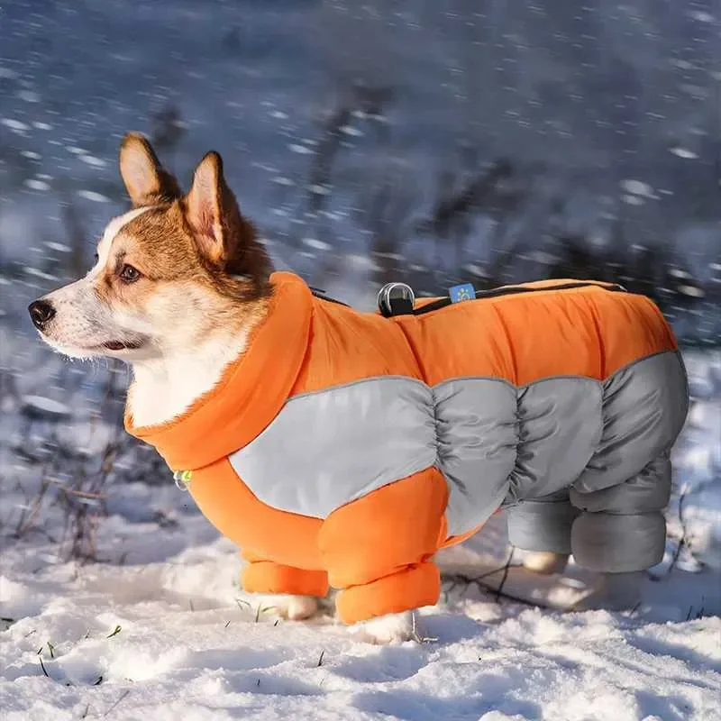

Winter Pet Warm Big Dog Cotton Clothing With Reflective Strap Waterproof Dog Jumpsuit for Small Medium Large Dogs Clothes