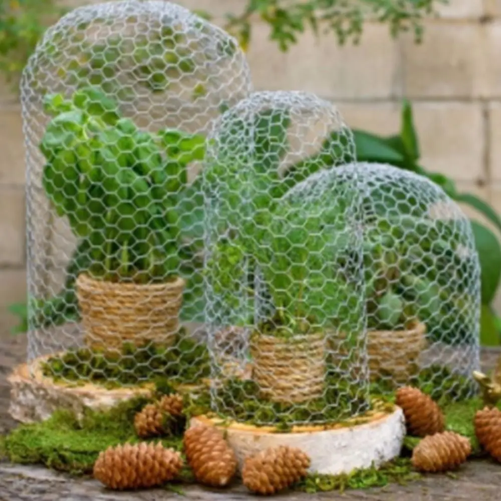 Lightweight Galvanized Wire Mesh Rust Proof Scratch Resistant Hexagonal Wire Mesh Tear Resistant Galvanized