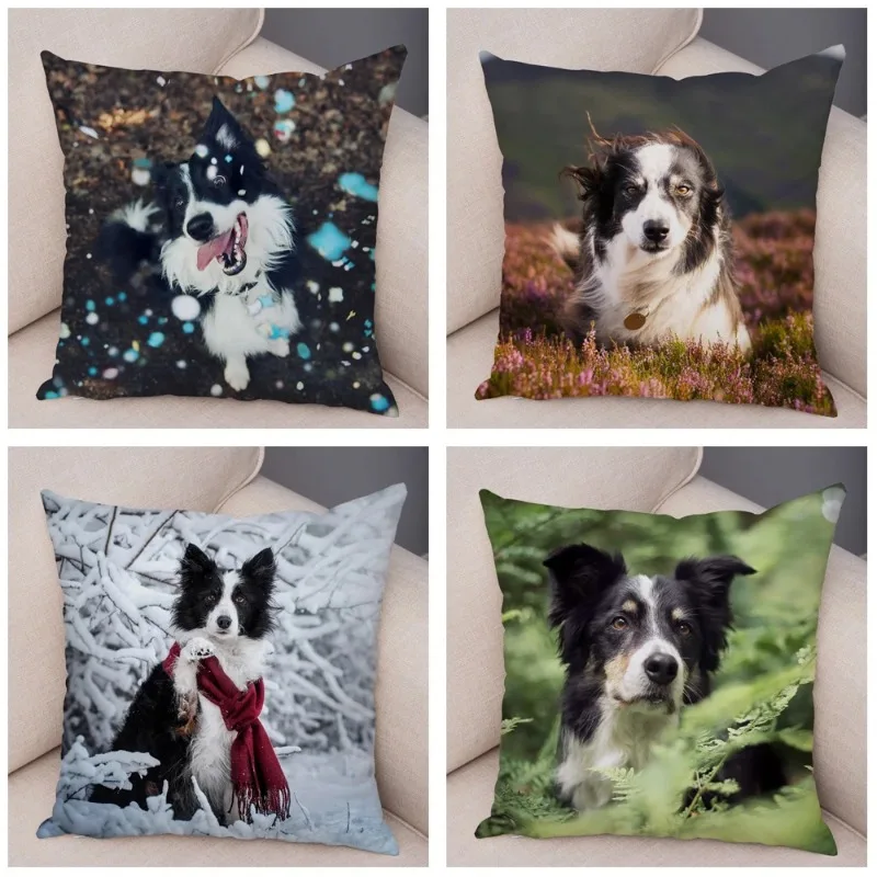 Cute Scottish Border Collie Pillowcase Dog Print  Decor Pet Animal Cushion Cover Sofa