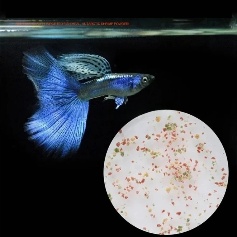 Alimento para Peces Tropicales de Acuario de 150 ml, Alimento para Peces Pequeños, Grano Delicioso, Especialmente para Guppys y Peces Linterna