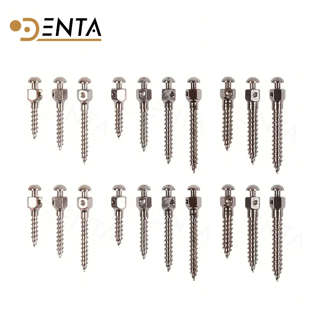 5pcs Dental Orthodontic Mini Implant Micro Screws Titanium Alloy Implant Screwdriver Screw 1.4/1.6/1.8/2.0mm x 6/8/10/12mm