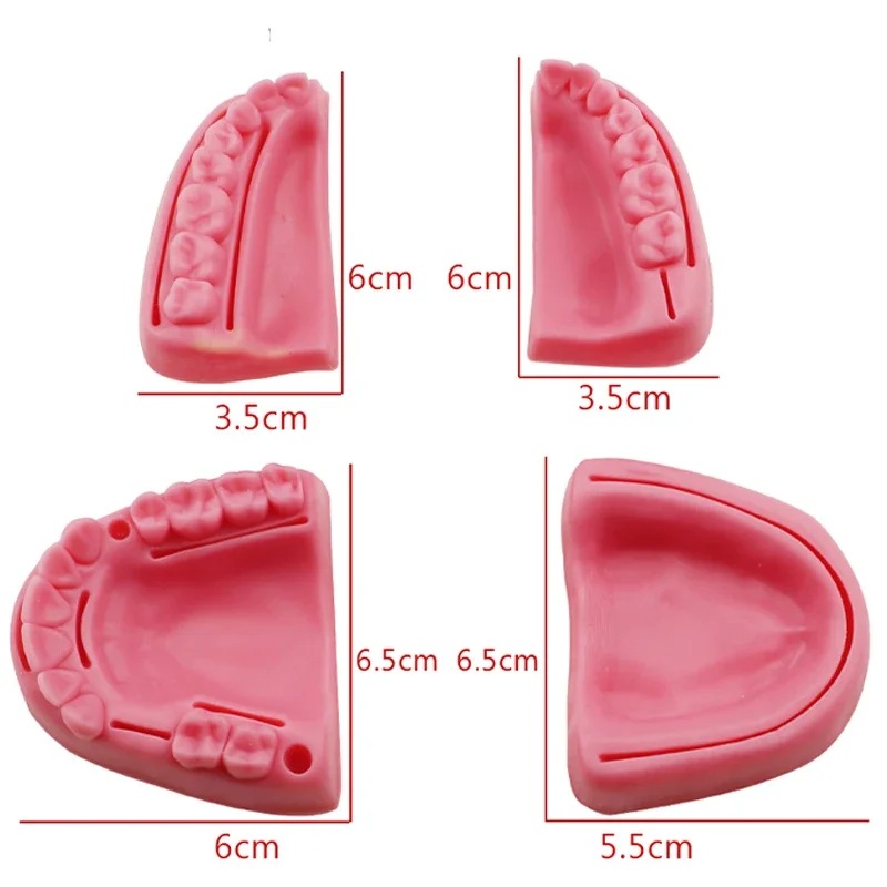 Dental Gum Oral Suture Model Surgical Practice Medical Practice Suture Silicone Module Periodontitis Suture Model Practice Kit