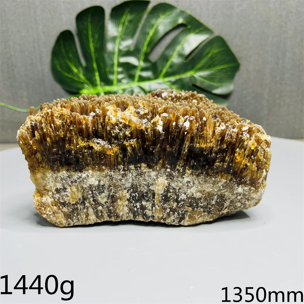 Natural Gemstone Honey Amber Needle Crystal Original Mineral Specimen Home Room Decoration Spiritual Stone Healing Yoga