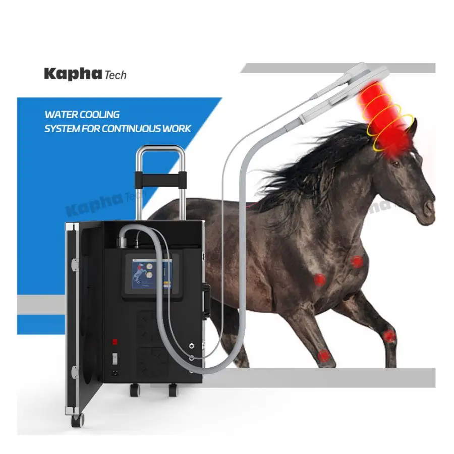 PMST Loop Equine PEMF Magnetic For Horse Rehabilitation Machine