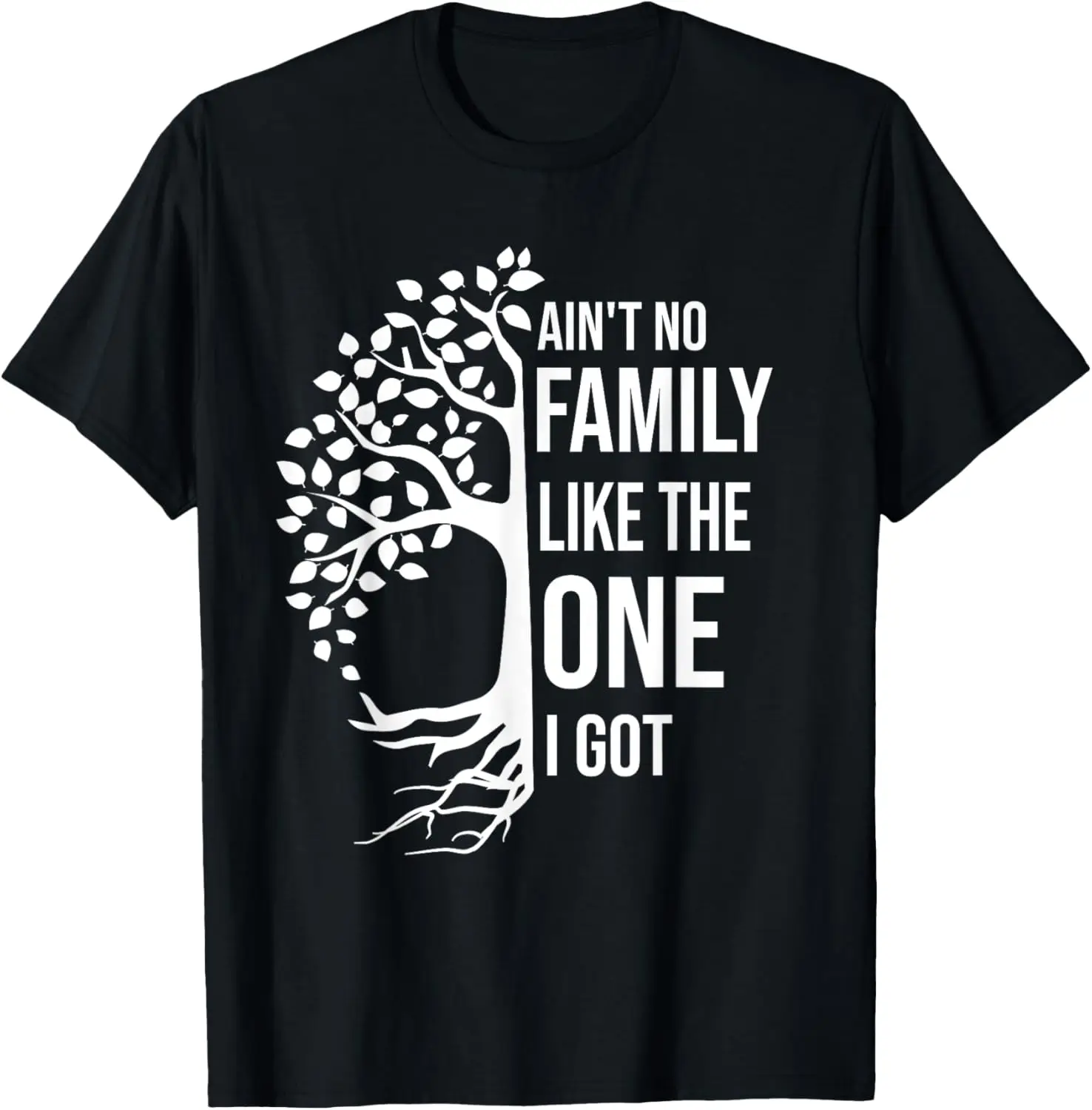 Ain't No Family Like The One I Got Funny Family Reunion 2024 T-Shirt