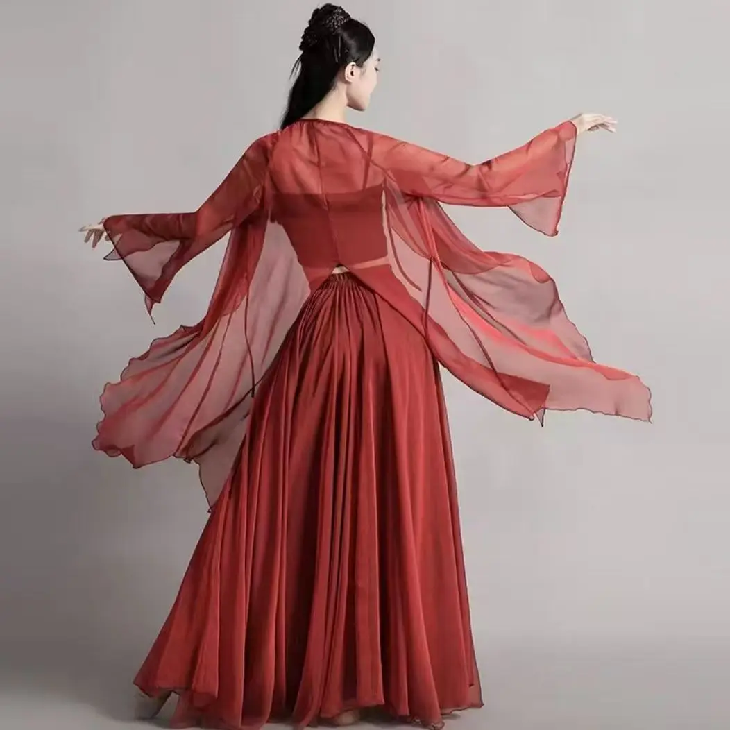 Classical Traditional Chinese Danc Folk Dance Performance Clothing Adult Woman Long Sleeve Dance Costumes