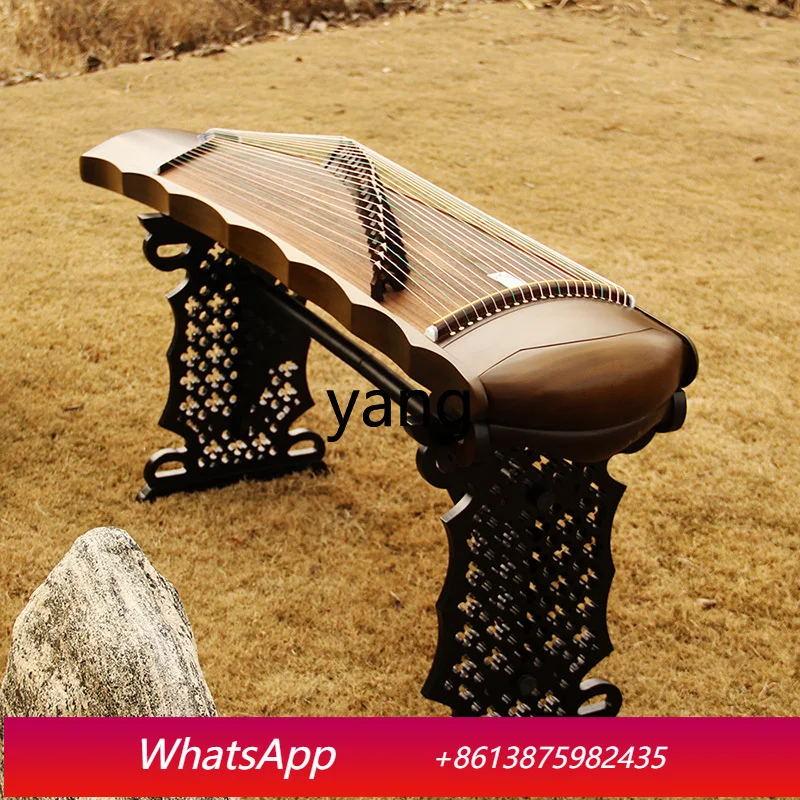 CXM  gold silk nanmu paulownia plain surface guzheng piano beginner digging zheng fuxi style