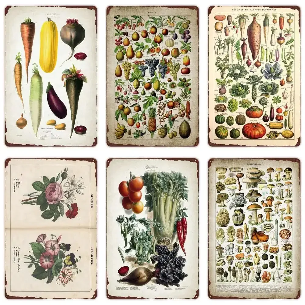 Vegetable Plants Poster Vintage Fruits Metal Tin Signs Retro Cauliflower Wall Art Sign Garden Kitchen Farm Flowers Plate Decor