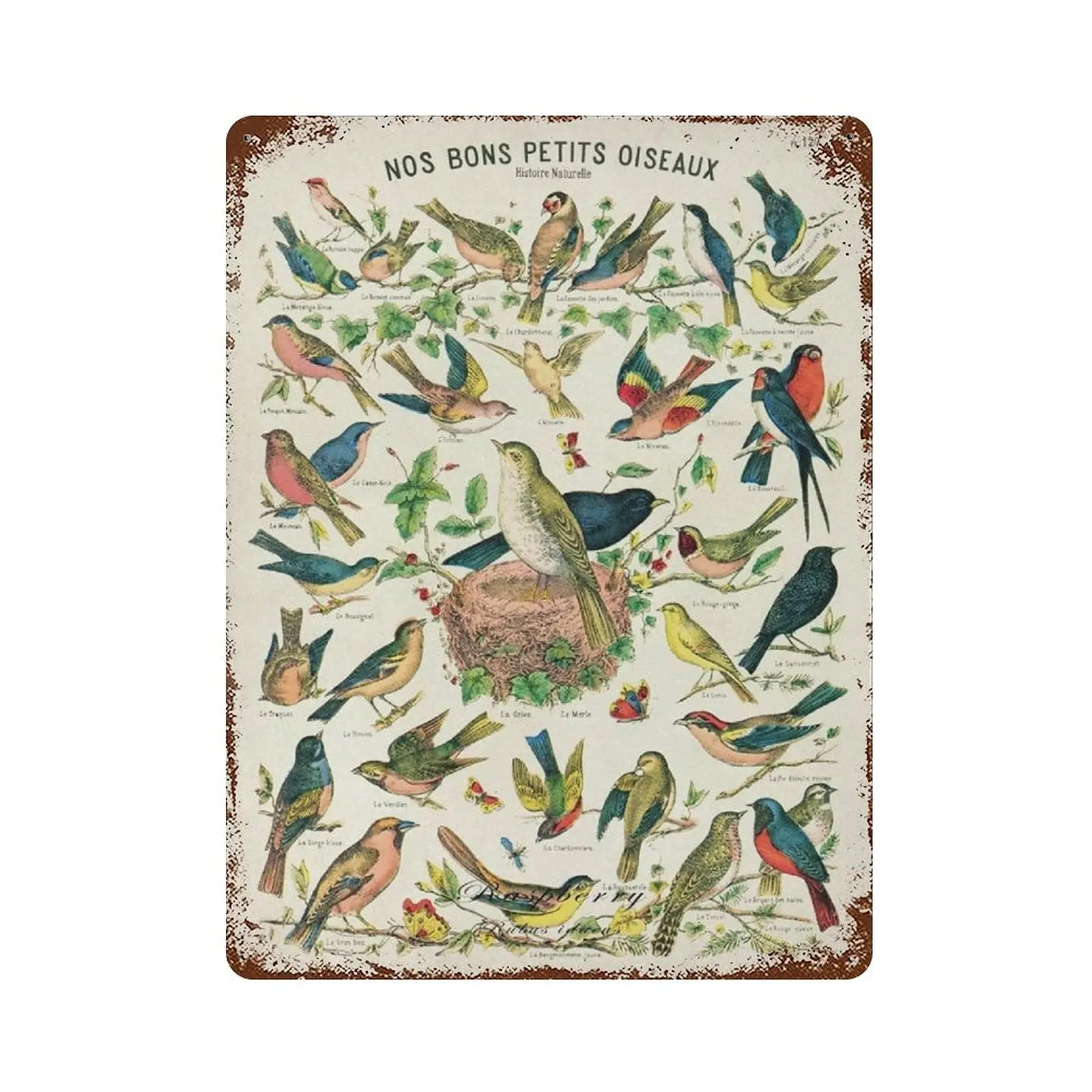 PPFINE Bird Ornithology French Bird Metal Sign Vintage Movie Tin Plaque Signs Retro Wall Decor Aluminum Poster Sign Bar Caf sign