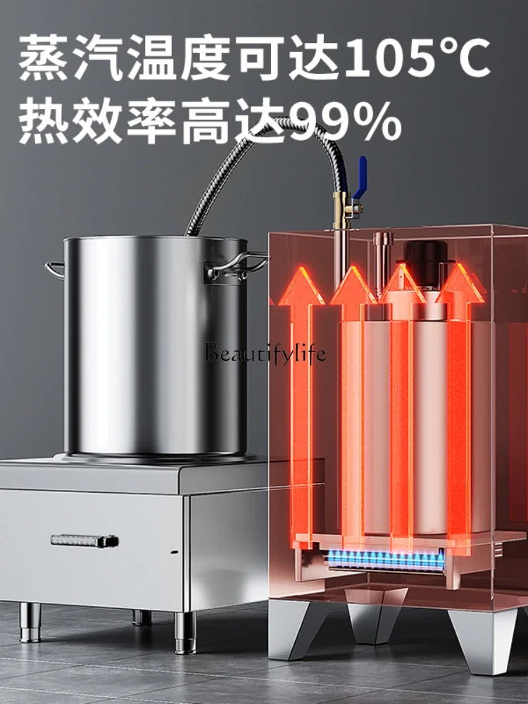 Commercial electric heating steam generator steamed bread dairy LNG steamer