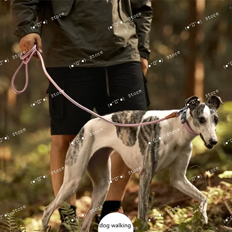 

explosion proof dog harness and leash set strong durable greyhound leads dogs accessories french bulldog leashes pet supplies